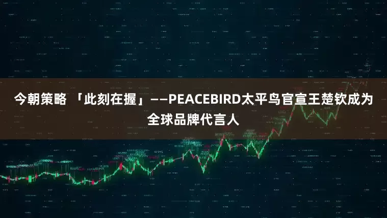 今朝策略 「此刻在握」——PEACEBIRD太平鸟官宣王楚钦成为全球品牌代言人